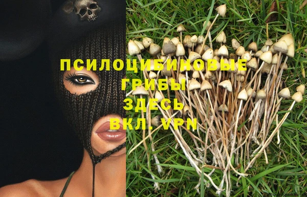круглые Белокуриха