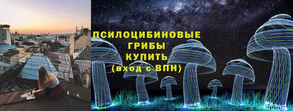 2c-b Богородск