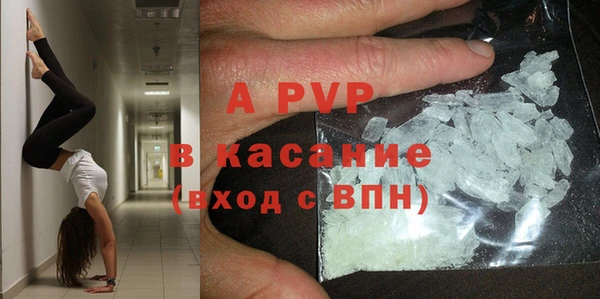 круглые Белокуриха
