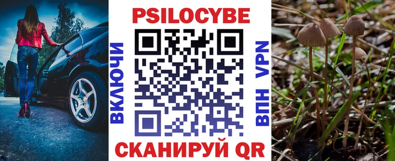 мега зеркало  Арзамас  Псилоцибиновые грибы Cubensis  как найти  